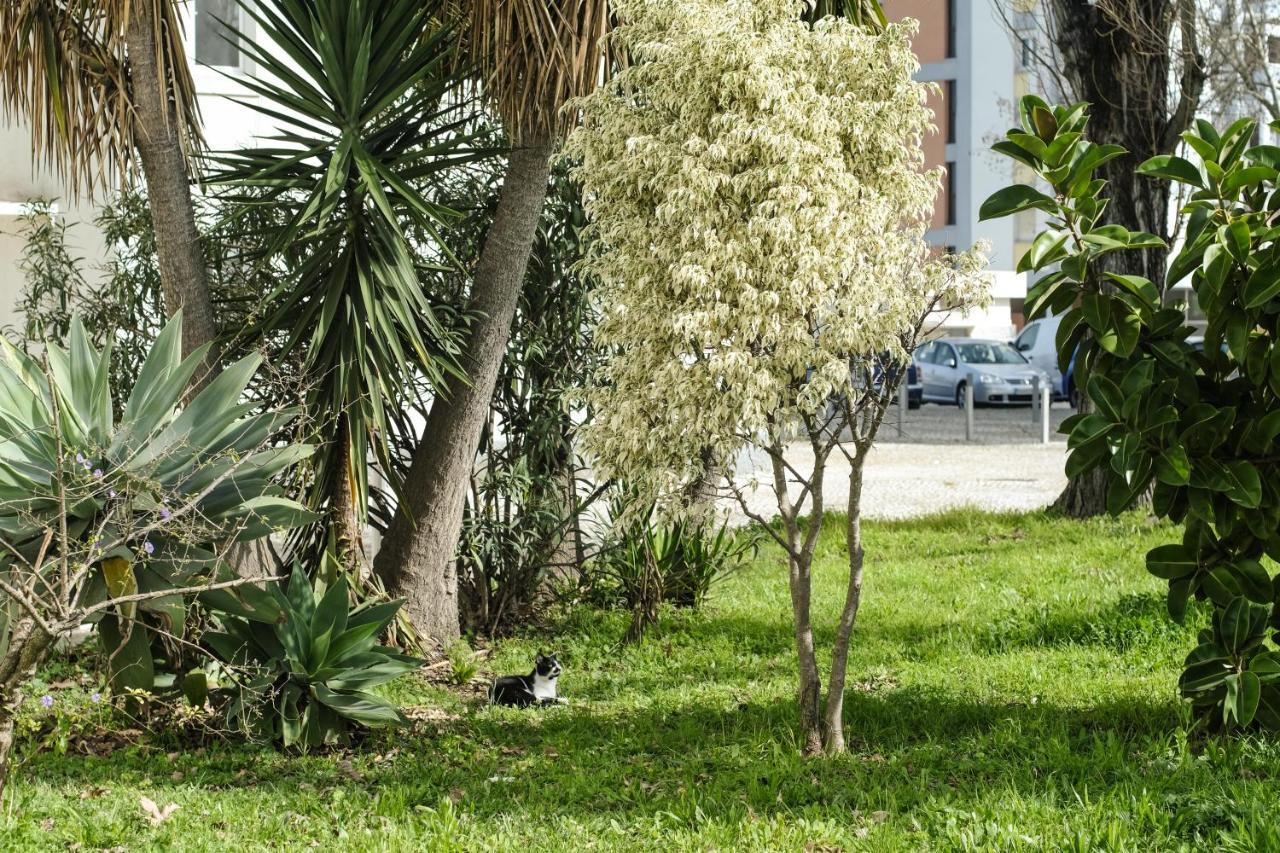 Olive Grove Apartment By Trip2Portugal Lisboa Ngoại thất bức ảnh